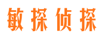 阜平市私家侦探